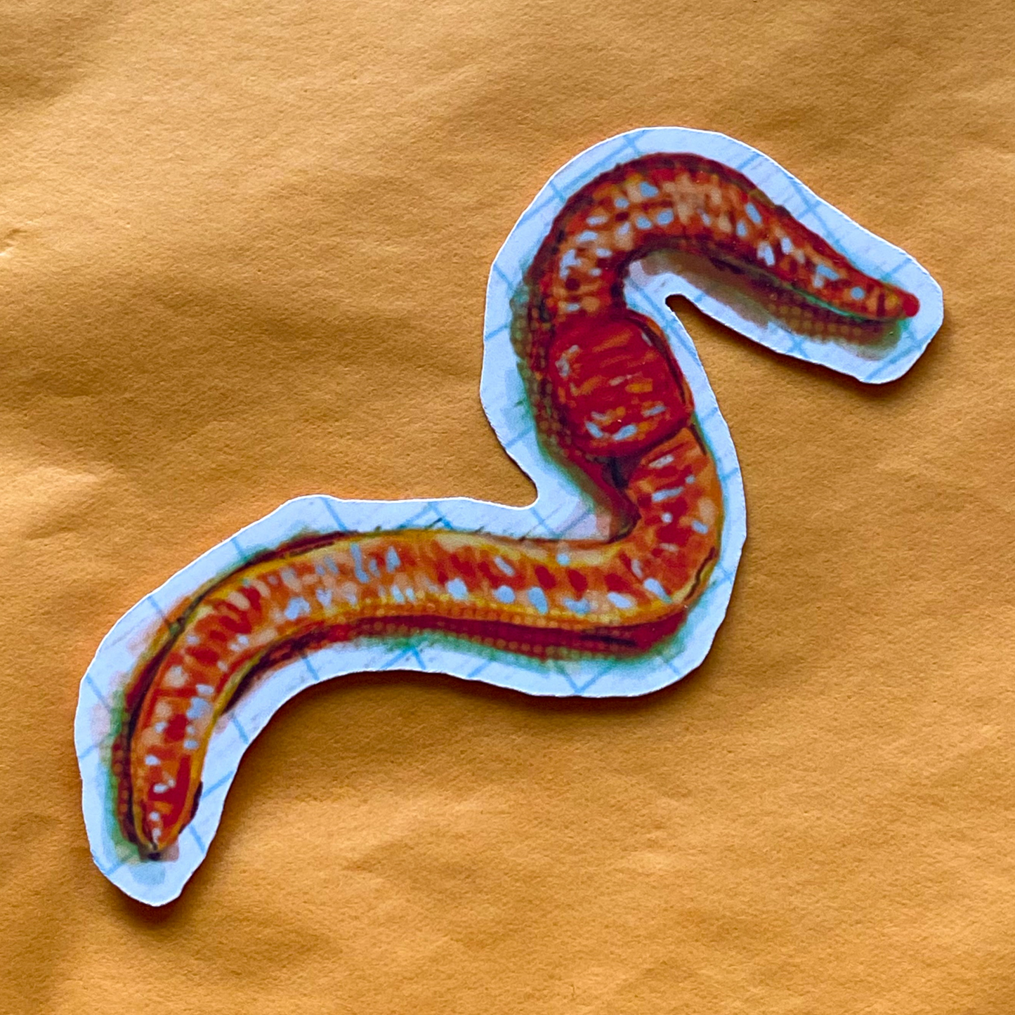 worm sticker