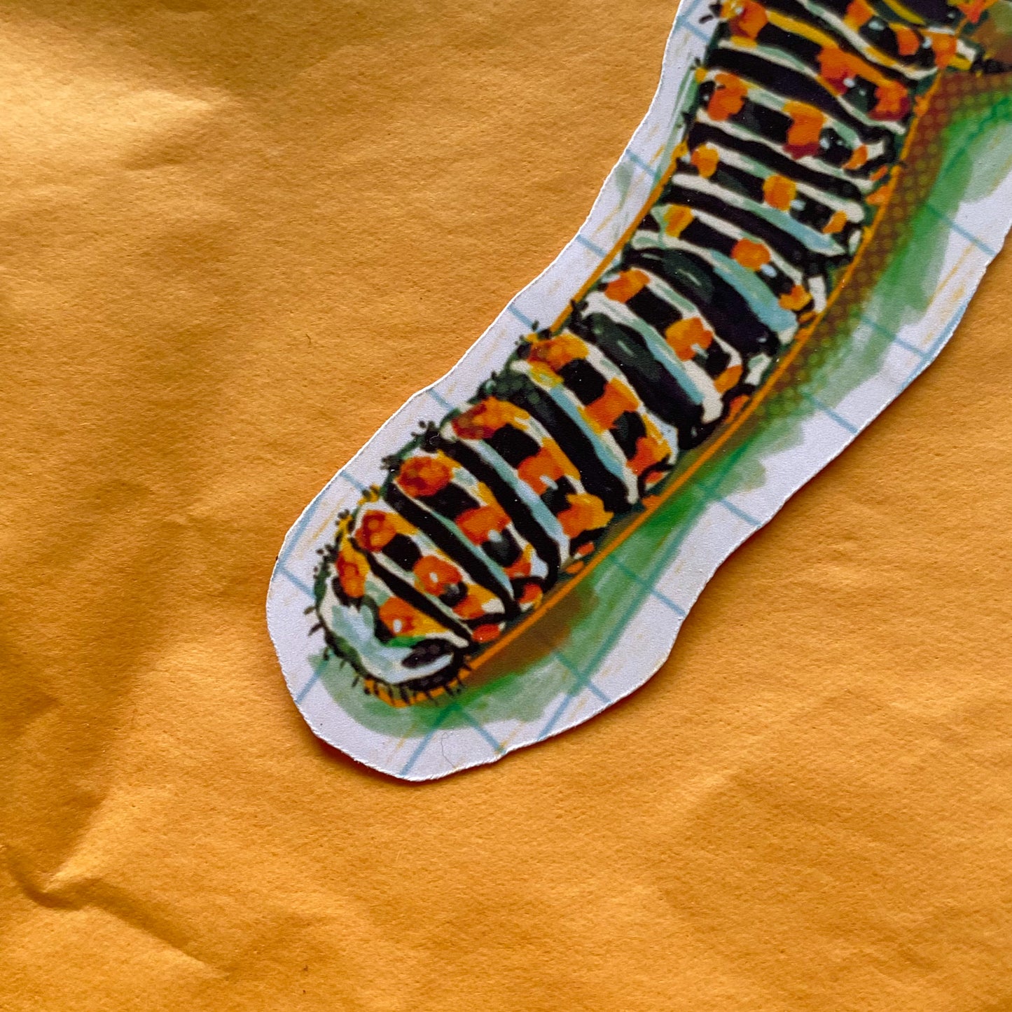 caterpillar sticker