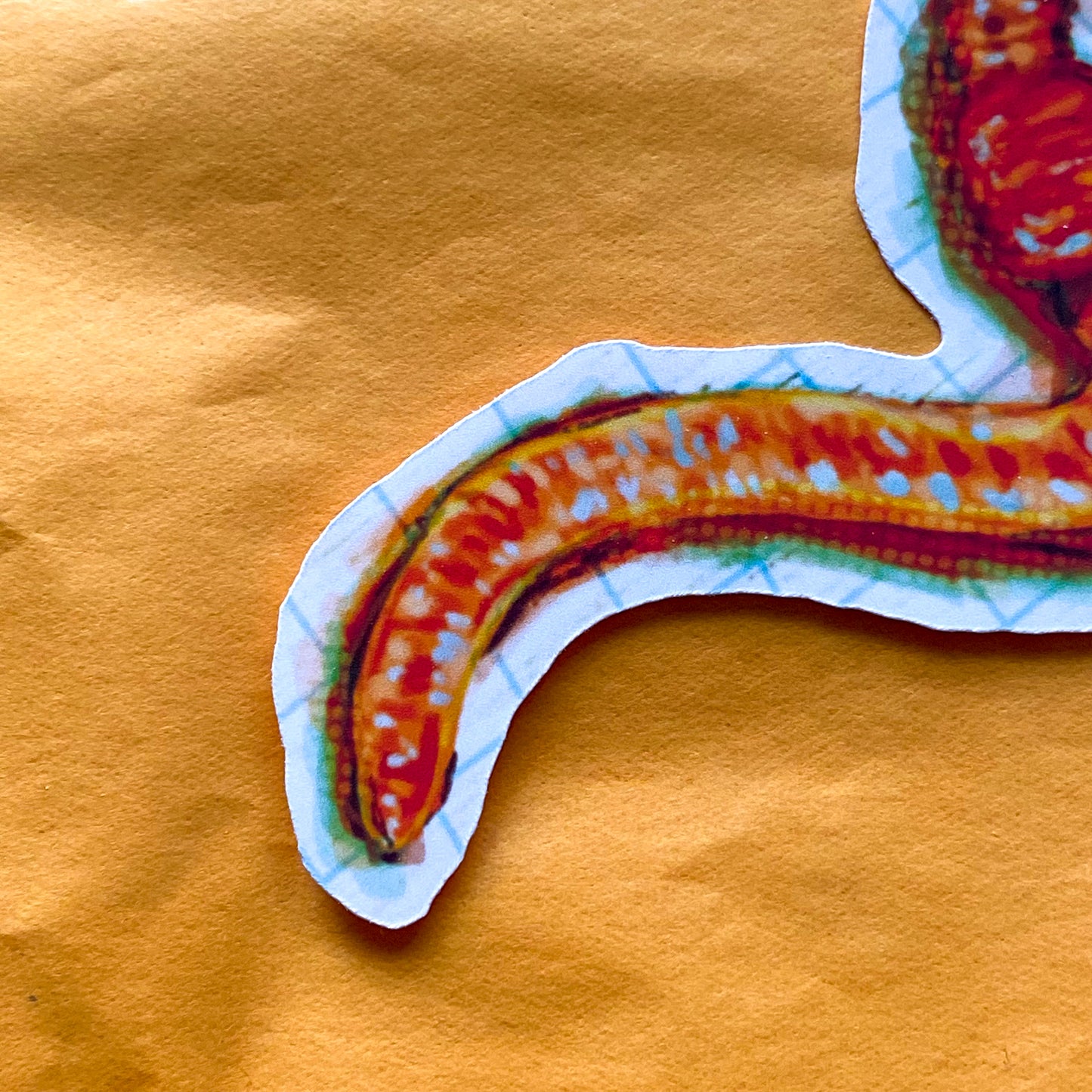 worm sticker