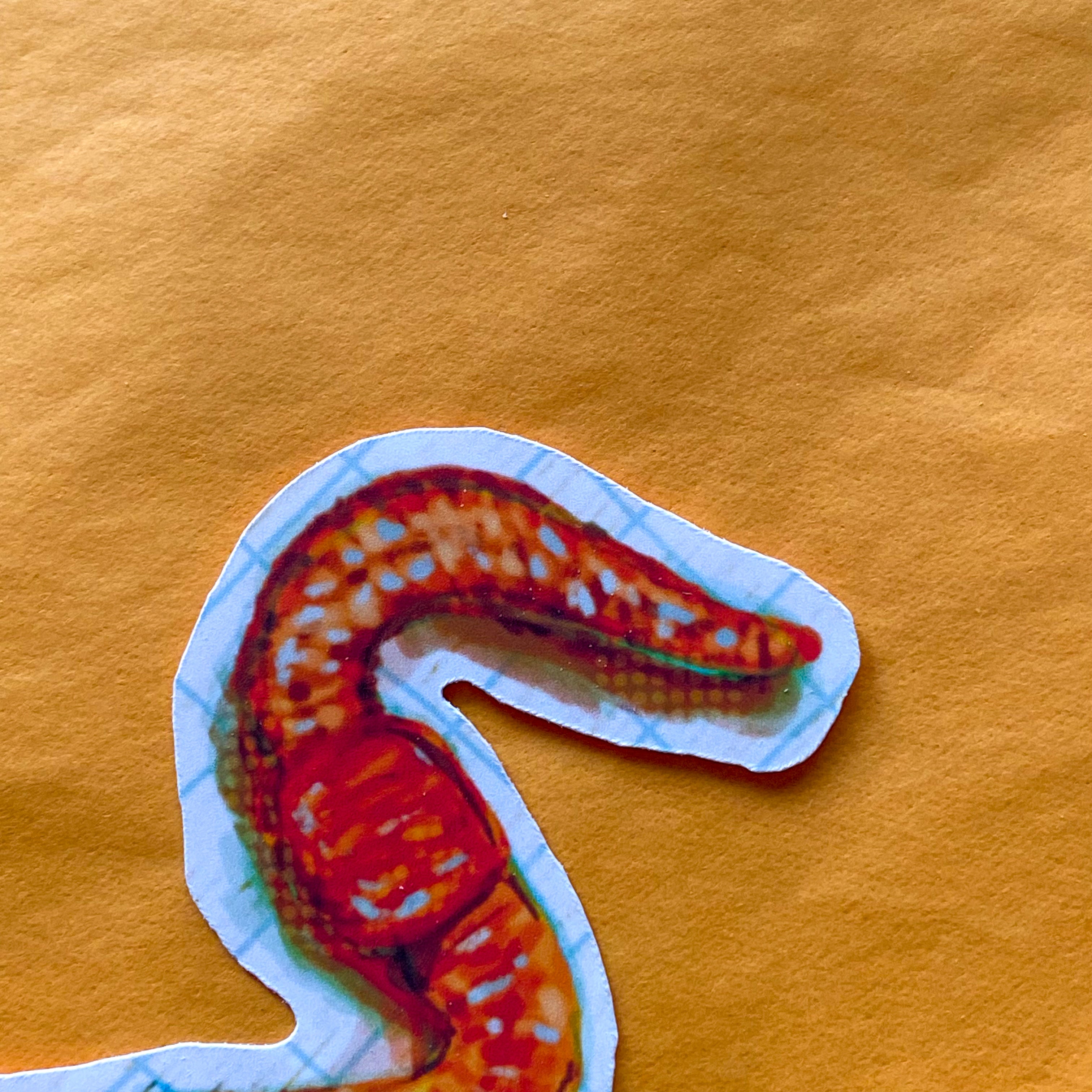 worm sticker